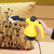 Multifunctional Steam Cleaner