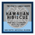 Hawaiian Hibiscus Clamshell Melts