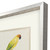 Treasure Parrot III Silver Shadowbox Illustration Wall Art