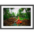 Coconut Dream - Framed Prints