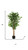 41" Green Artificial Ficus In Cylindrical Black Pot