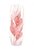 Glass Oval Vase
