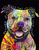 Pit Bull 7 - Best of Breed Dean Russo House and Garden Flags