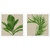 Set Of Two Palm Isle II Distressed White Framed Wall Art
