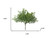 12 9" Green Fern Artificial Plant in a No