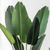 Artificial Indoor Traveler Banana Fake Decoration Tree Flower Pot Plant