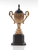 6.5" X 4.5" X 12.5" Alum Wooden Trophy Big