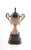 6.5" X 4.5" X 12.5" Alum Wooden Trophy Big