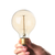 Edison Light Bulb