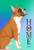 Boxer Fawn Uncropped - Tomoyo Pitcher Home Outdoor Flag