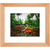 Coconut Dream - Framed Prints