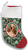 Cocker Spaniel Buff - Best of Breed Christmas Stocking