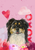 Border Collie - Hippie Hound Studios Valentines  House and Garden Flags