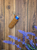 Keychain Chapstick Holder