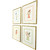 Set Of Four Bird with Shell Gold Framed Wall Art