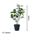 Artificial Tree Indoor Nordic Style Artificial Tree Potted Simulation Tree