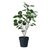 Artificial Tree Indoor Nordic Style Artificial Tree Potted Simulation Tree