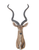 13" X 9" X 33" Antelope Head Wall Decorative