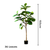 Artificial Indoor Qin Yerong Tree Fake Plant Simulation Decorative