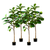 Artificial Indoor Qin Yerong Tree Fake Plant Simulation Decorative