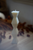 Aptos Pillar Candle Collection