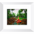 Coconut Dream - Framed Prints