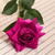Glass Tall Floor Vase and pcs Dark Artificial Fake Flower