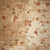5' X 7' Ivory Tan And Red Floral Non Skid Area Rug