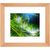 Light Breeze - Framed Prints