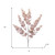 Set of Four 8" Beige And Brown Artificial Eucalyptus