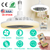 Ceiling Fan With Lights 