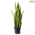 Artificial Indoor Edge Tiger Piran Fake Decoration Tree Flower Pot Plant