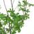 32" Green Artificial In Cylindrical Black Pot
