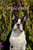 Boston Terrier - Close Encounters of the Furry Kind Welcome  House and Garden Flags