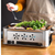 Portable Stainless Steel Outdoor Chafing Dish BBQ Fish Stove Grill Plate