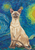 Siamese - Tomoyo Pitcher Van Gogh Cat- House and Garden Flag