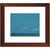 Walk This Way - Framed Prints