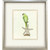 Treasure Parrot II Silver Shadowbox Illustration Wall Art