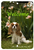 Cavalier King Charles Blenheim - Best of Breed  Indoor/Outdoor Aluminum Sign