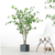 Artificial Indoor Watercress Tree Fake Plant Simulation Decorative