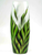Tropical decorated vase