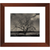 Baum im Winter - Framed Prints