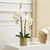 Artificial Fake Orchid Flower in Copper Metal Vase