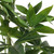 32" Green Artificial In Cylindrical Black Pot