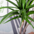 Artificial Indoor Brazlian Iron Tree Fake Plant Decorative  Heads