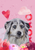 Australian Shepherd - Hippie Hound Studios Valentines  House and Garden Flags