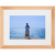 Calypso's Blues - Framed Prints