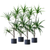 Artificial Indoor Brazlian Iron Tree Fake Plant Decorative  Heads
