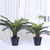Artificial Indoor Cycas Revoluta Cycad Sago Palm Fake Decoration Tree Pot Plant