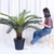 Artificial Indoor Cycas Revoluta Cycad Sago Palm Fake Decoration Tree Pot Plant